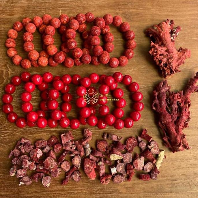 Gelang Red Coral Grade A Berserat Premium Batu Karang Merah Koral Marjan Merah Delima Aksesoris Pria