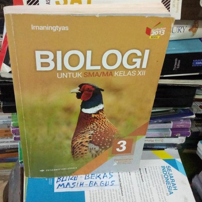 Biologi untuk SMA kelas 12 Erlangga original bekas