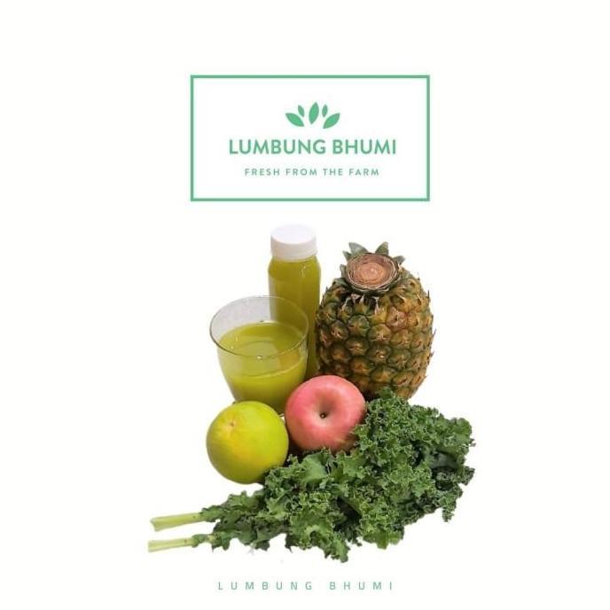 Bnbx- Jus Sayur Kale Premium 500 Ml - Lumbung Bhumi
