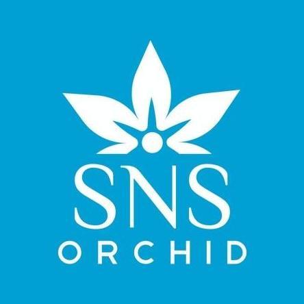 Remaja Anggrek Bulan Phalaenopsis Hybrid Warna Koleksi Bibit Bunga