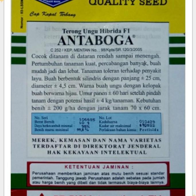 benih terong ungu antaboga 10 gram