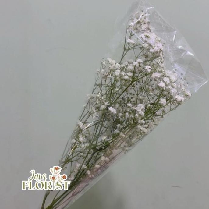 Flowpick- Bunga Baby Breath Fresh Asli