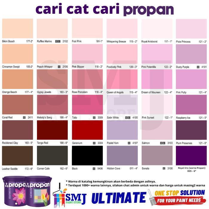 Cat Tembok Anti Noda PROPAN DECORLOTUS DLI 480 warna Tinting 20L