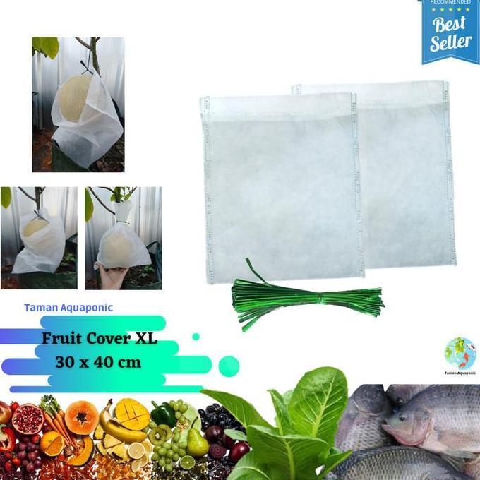 Fruit Cover/Pembungkus Buah XL 25 pcs