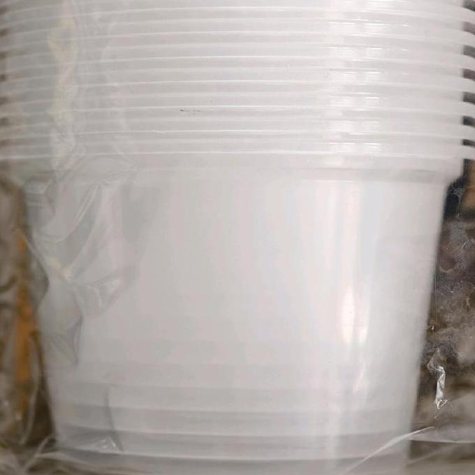 SUMO CUP PUDING 100ML / CUP PUDING + TUTUP 100ML (50PCS)