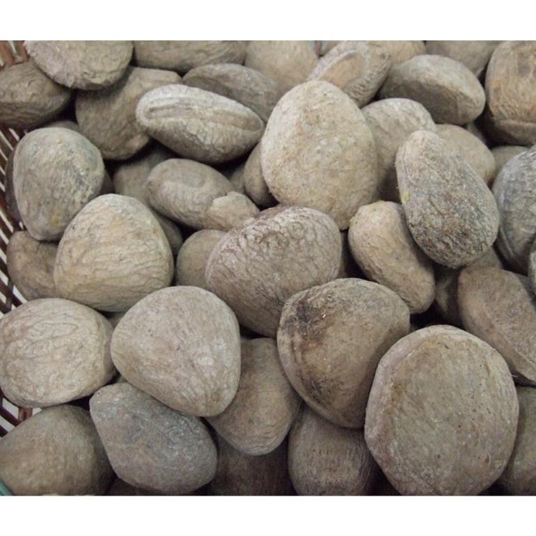 Kluwek/1Kg/Kluwek Super/Kluwek Rawon/Kepayang