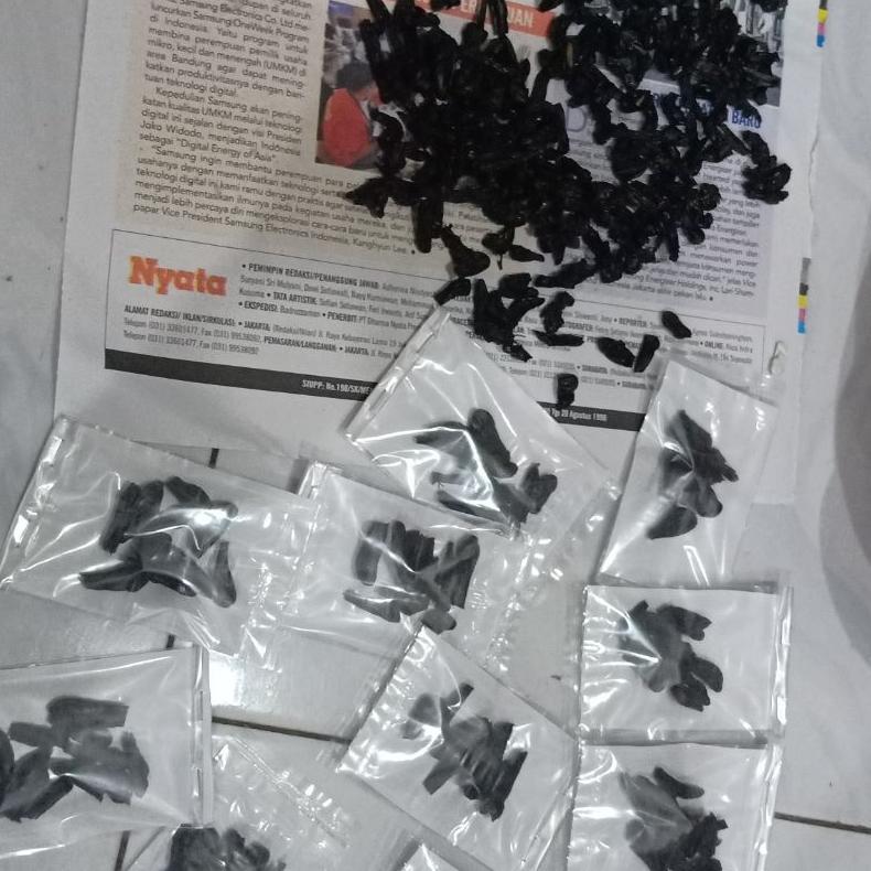 Empedu Ular Cobra Asli Kering Ibu Aminah