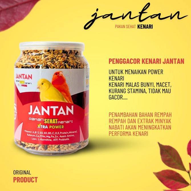 Makanan Burung PAKAN JANTAN SEHAT Kenari Gacor Ternak Fertilitas Sehat (TERBAIK) (TERBARU) (TERMURAH
