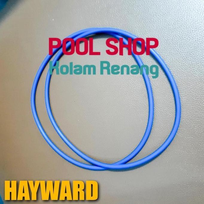 Murah Seal Leher Filter Hayward / Oring Tank Hayward