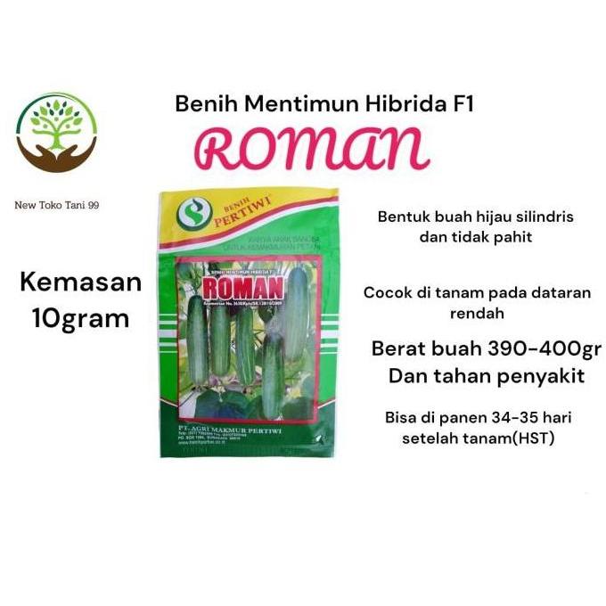 Benih bibit Timun hibrida ROMAN F1 10gram produksi pertiwi