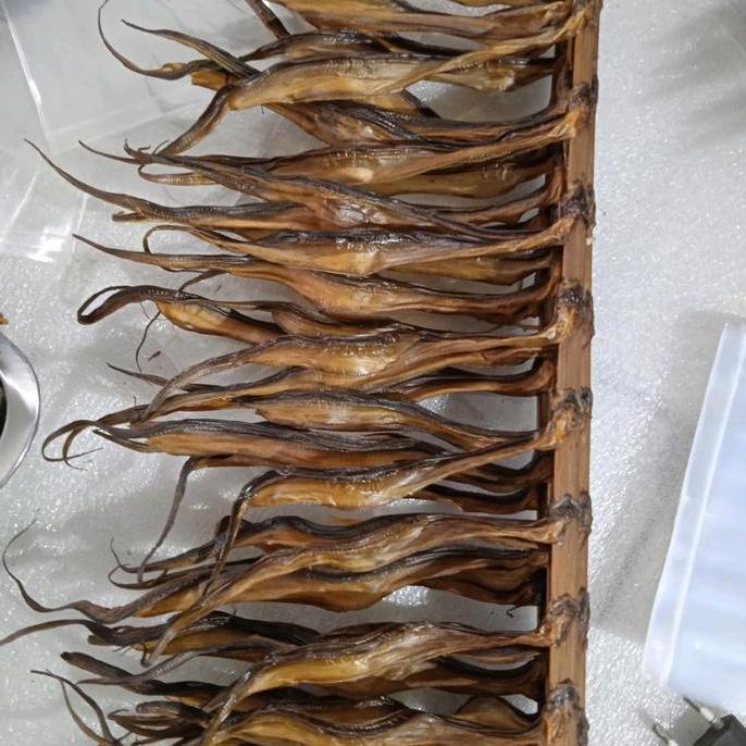 belut jemur kering dan asap bakar