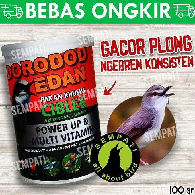 Kicaudor- Dorodod Edan Ciblek Voer Halus Pakan Burung Ciblek