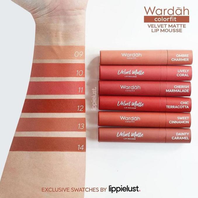 Lipplup- Wardah Colorfit Velvet Lip Mouse | Lip Cream Colorfit