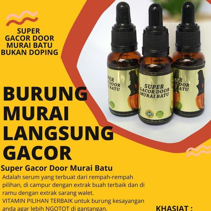Kicaudor- Penggacor Murai Batu Super Gacor Door Murai Batu Juara Gantang