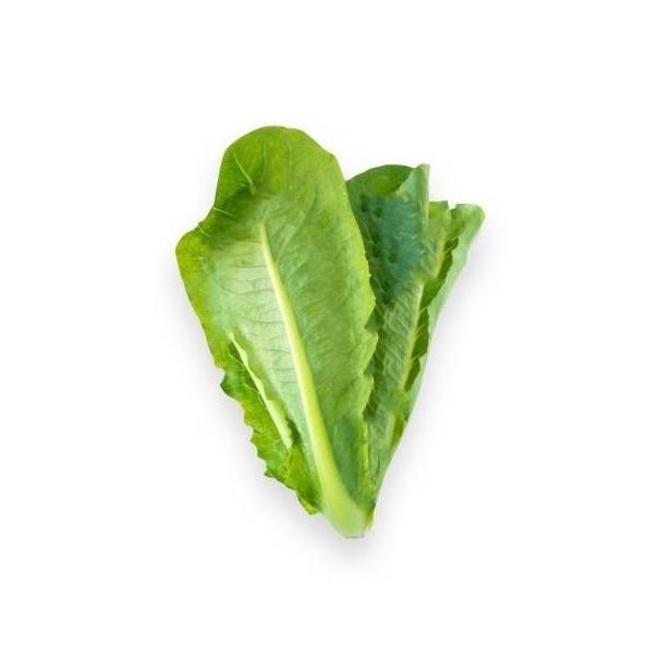 Hijaudaun- Selada Romaine / Romaine Lettuce Organik 200Gr