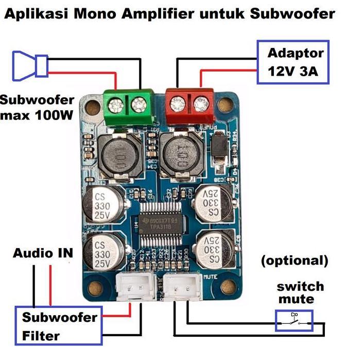 Wkfd- Tpa3118D2 Tpa3118 Class D Hifi Subwoofer Digital Power Mono Amplifier