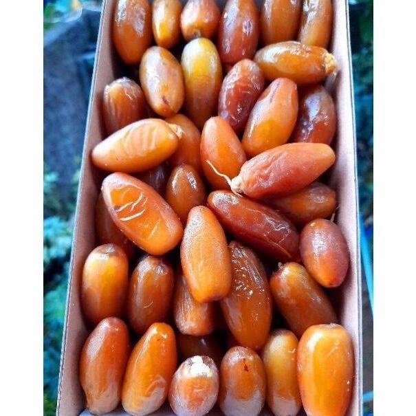 kurma ruthob libya/kurma ruthob fresh/kurma muda Food