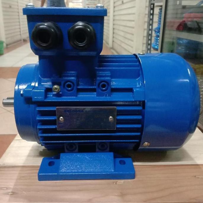 Sale Dinamo 1/4 Hp/0.25Kw 3Phase