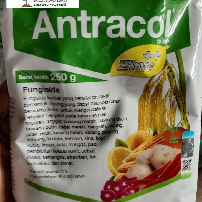 fungisida Antracol/obat jamur/inteksida murah