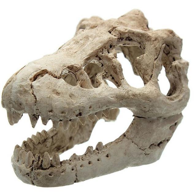 Readyy Stok Dinosaurus Tengkorak Hiasan Akuarium Fosil Dekorasi Ornamen Aquarium