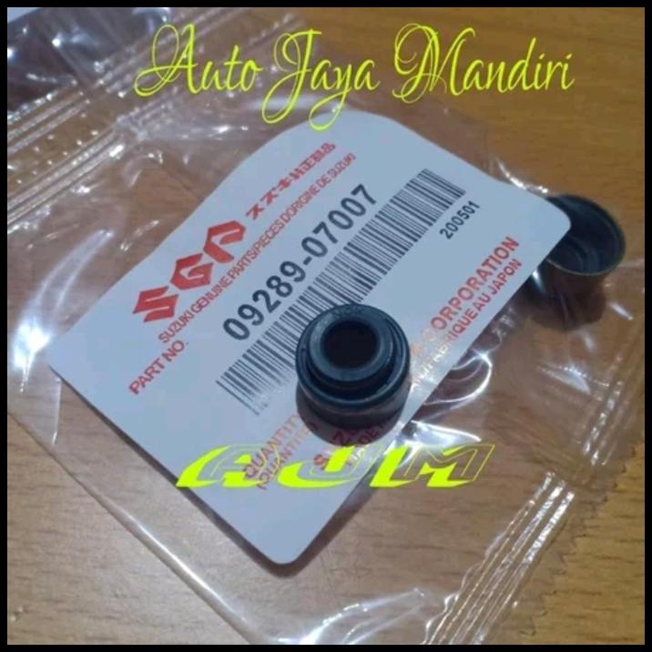 DISKON SEAL KLEP SIL KLEP FUTURA ST100 CARRY EXTRA ORI 