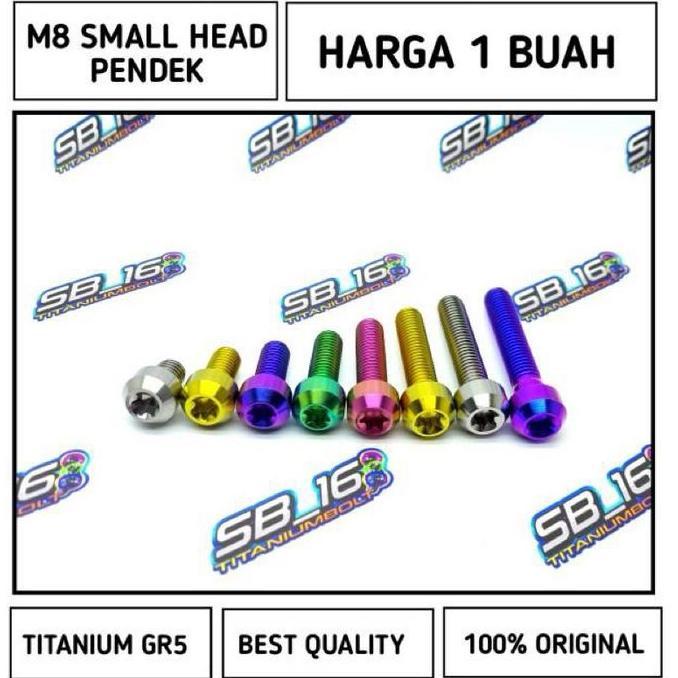 M8 SMALL HEAD TITANIUM GR5 (DRAT12) PENDEK