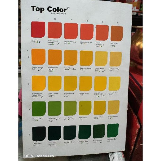 Top Color Danapaint 1 Kg