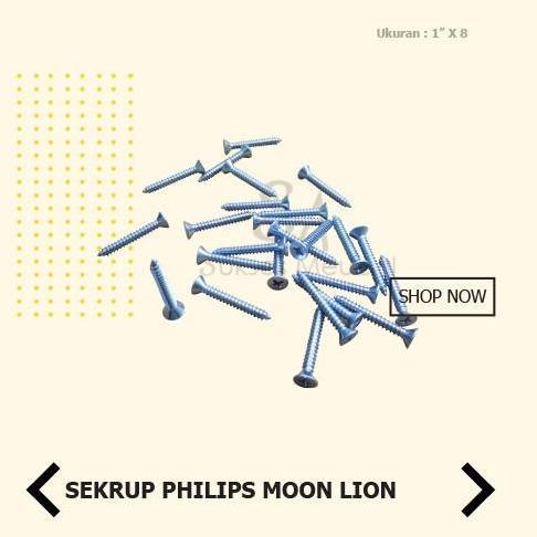 Promo 8 X 3 In Sekrup Philips Moon Lion Fh / Sekrup Baut Tapping