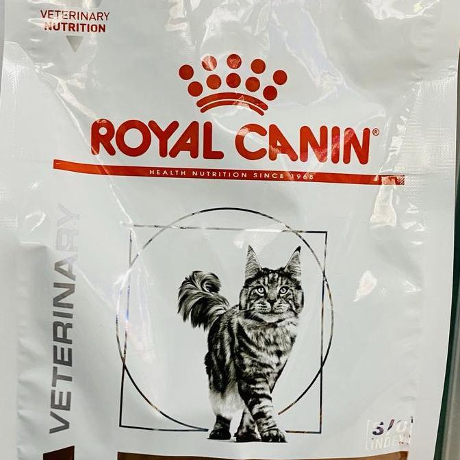 Gastro Intestinal Feline Royal Canin