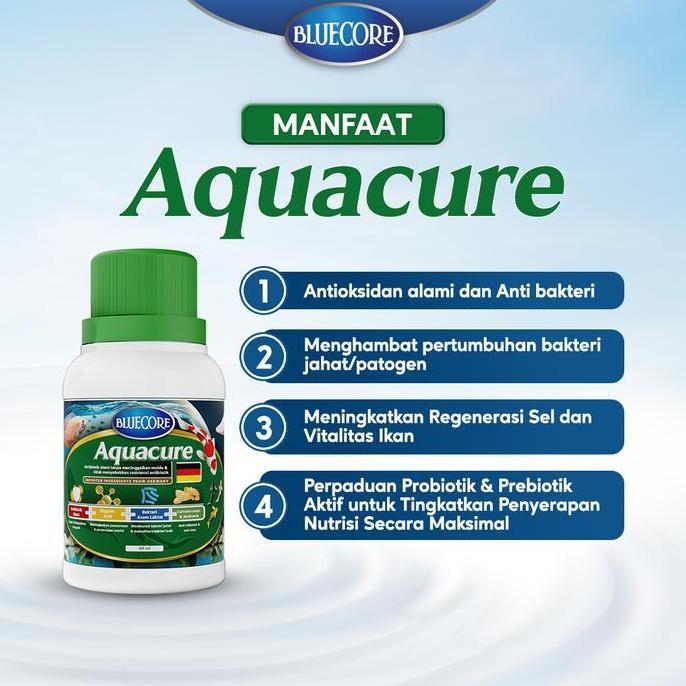 Sakan- Bluecore Aquacure Antibiotik Alami Ikan Solusi Mencegah Bakteri Dan Virus (Cocok Untuk Berbag