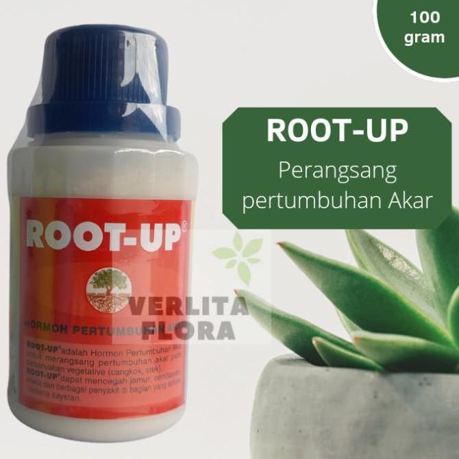 ZPT / Pertumbuhan akar Root Up
