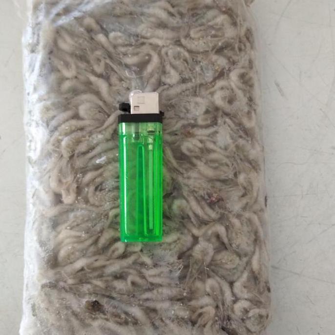 Altx- Udang Beku Pakan Ikan 500Gr, Pakan Ikan Predator, Pakan Ikan Oscar