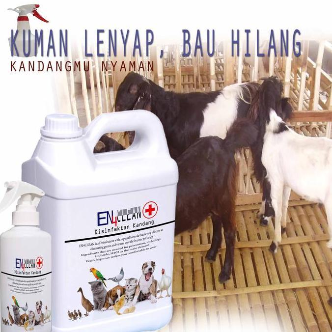 Ready EN4 Clean Disinfektan kandang kambing 500ml sampai 5liter