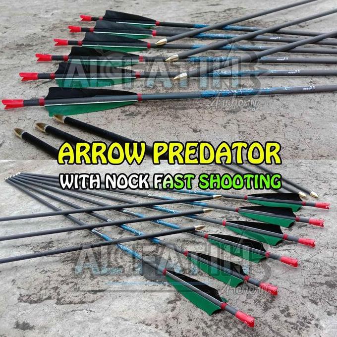 PARDIONSSTORE - ARROW PURE CARBON PREDATOR NOCK FAST SHOOTING / ARROW CARBON