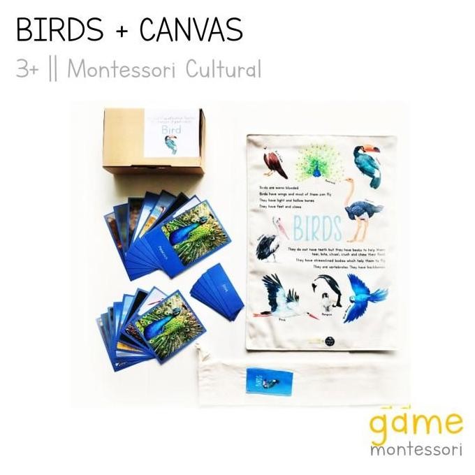 Montessori Animal Classification Mammals, Fish, Insects