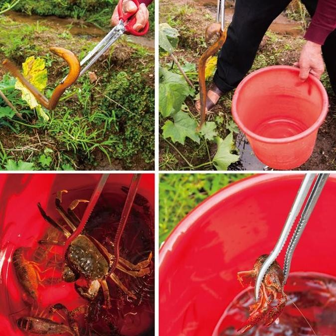 Panjang Capit Alat Pengambil Kepiting Ikan Belut Lele
