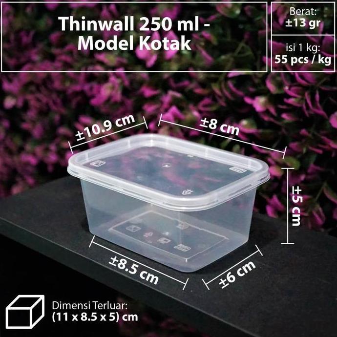 Thinwall Mini - Kotak / Persegi DM - 250 ml