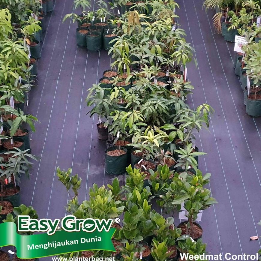 Promo Cod Weedmat Eceran Uk 1,2 Meter Warna Hijau ...