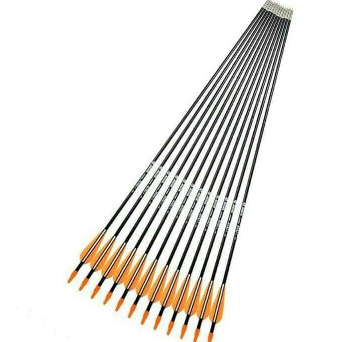 Arrow Fiber / Anak PAnah