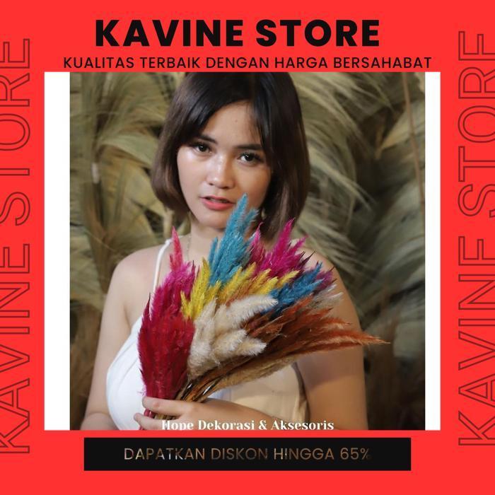 (FREEONGKIR) PROMO BUNGA ALANG-ALANG / ILALANG KERING WARNA DEKORASI RUMAH, PESTA, BUKET MURAH MERIA