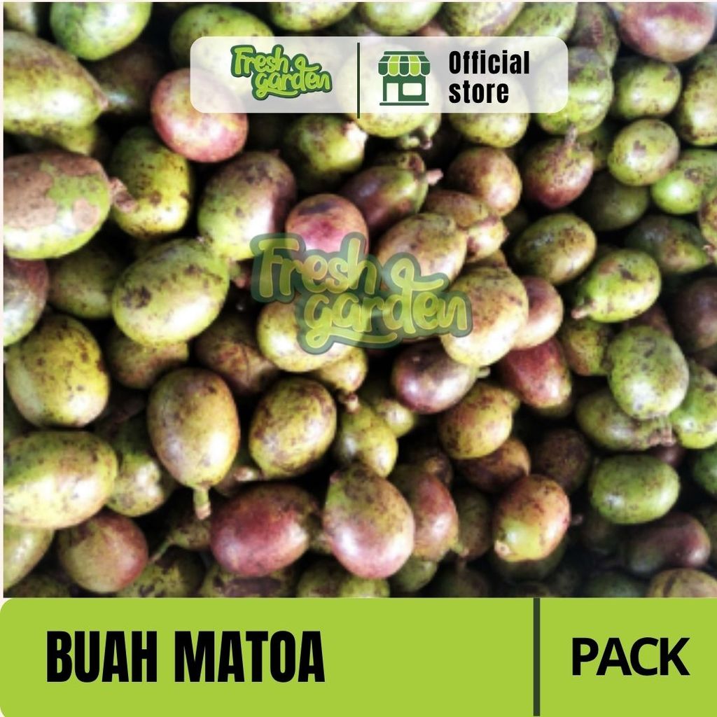 Buah Matoa Segar
