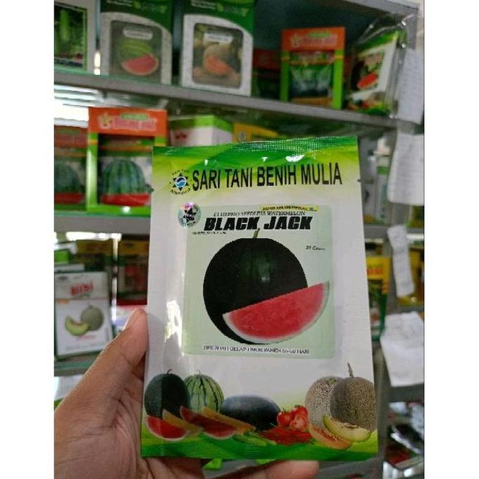 Terlaris Benih Bibit Semangka Non Biji Black Jack F1 20 Gram (Kulit Gelap Bulat) Kadaluarsa 2026 Ter