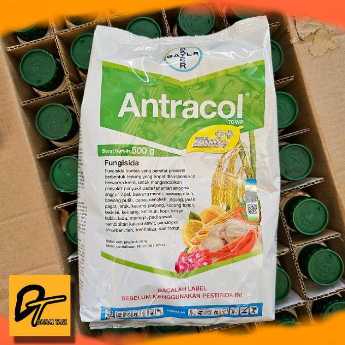 Fungisida Antracol 500gr utk jamur tanaman pertanian perkebunan Tomat