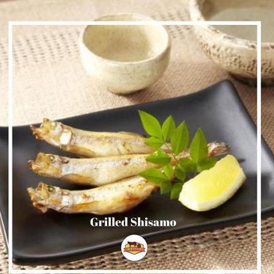 ready Shisamo Fish Shisamo Ikan Capelin Premium Japanese Fish