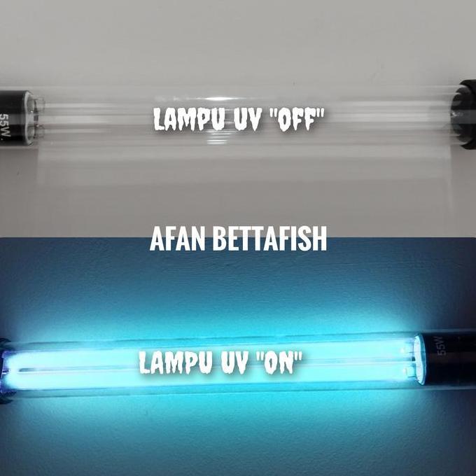 Lampu Uv Kolam Ikan Koi Hikari Big 55, 75 , 95 ,115 Watt Hikari