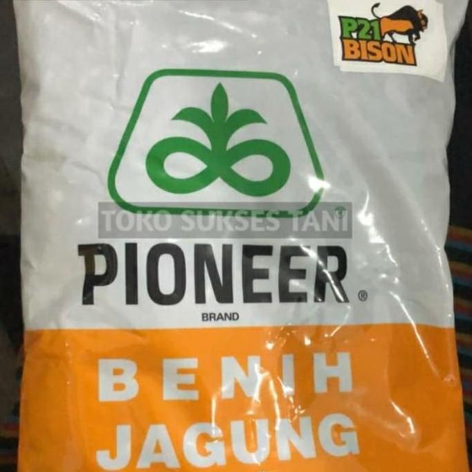 Terlaris Benih Jagung Hibrida P21 Bison Pioneer Dari Dupont . Isi 1Kg