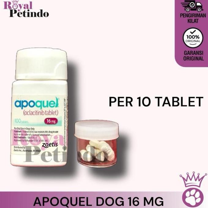 dmenleo - apoquel 16 mg anti gatal dan alergi anjing ( 10 tablet ) | apoquel 16mg obat anti gatal & 