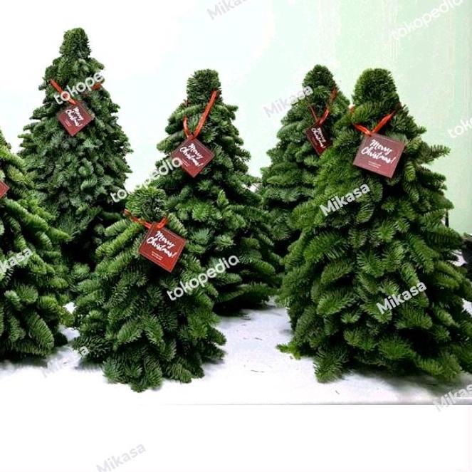 Super Hot, Nobilis Christmas Tree Asli Import Pohon Fresh Asli