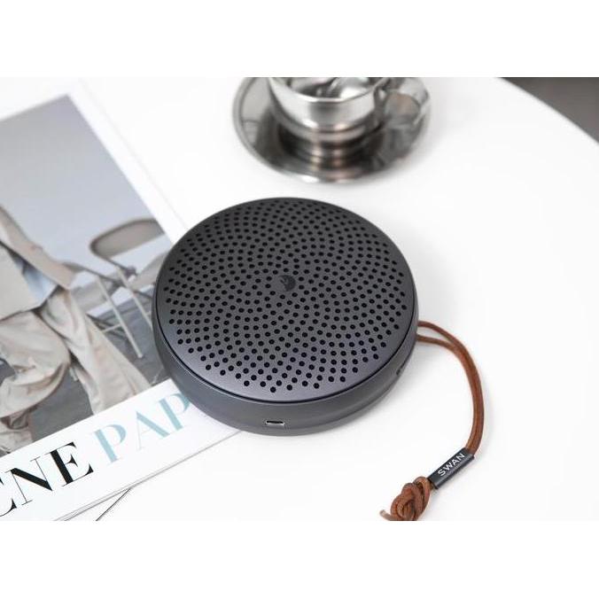 HiVi Swan E1 Portable Speaker Support TWS Bluetooth 5.3 Terlaris