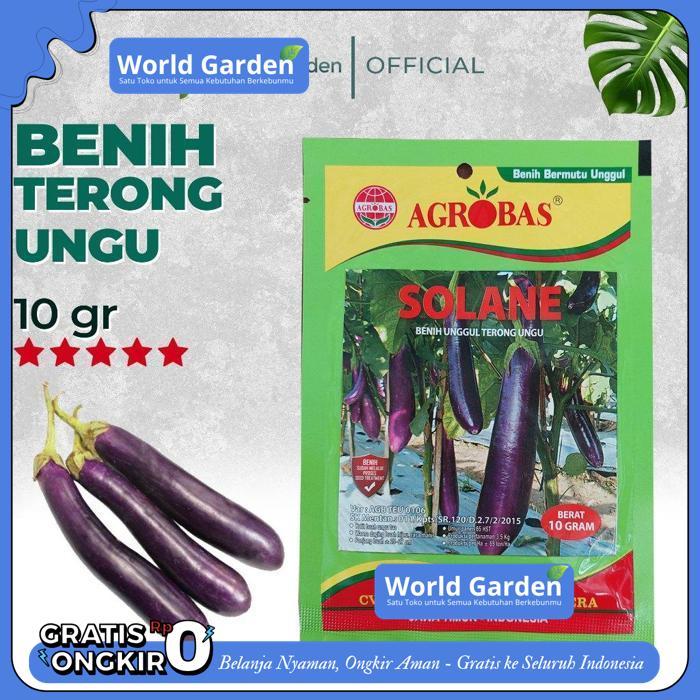 BENIH BIJI TERONG UNGU SOLANE KEMASAN ASLI PABRIK 10GR TERMURAH